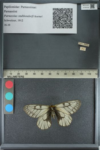 Media type: image;   Entomology 180164